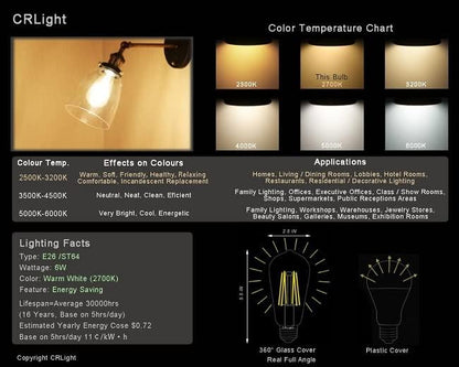 LED Edison Bulb 4W,Antique 40W Vintage Edison Bulb,E26 Light Bulb Non Dimmable Led Bulb 450 Lumens 2300K Amber Warm,Pack of 12