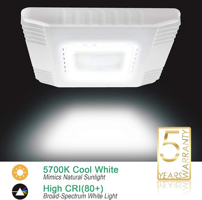 OSTEK 2 Pack LED Gas Station Canopy Light, 150W Carport Ceiling Light 5700K, Outdoor Rated (600W HID/HPS Equivalent), 90-277V IP65 DLC & UL Listed