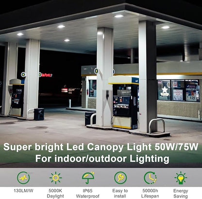 80W/60W/40W Power Selectable LED Canopy Garage Light with 3CCT (3500K/4000K/5000K), LED Parking Garage Lights 90-277V IP65 Commercial Residential Lights DLC (40W/ 60W/80W Power Selectable -2 PACK)