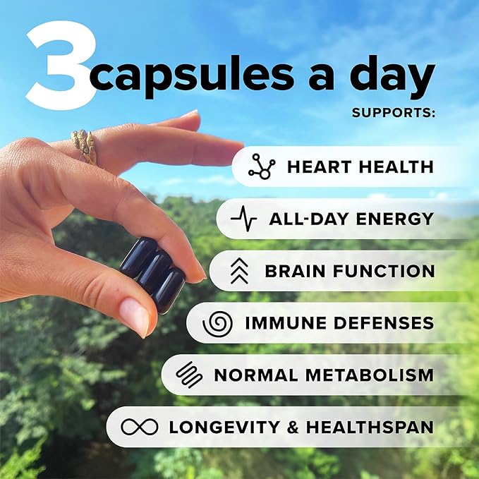 Complement ForHer & Essential Vegan Multivitamin Bundle – 30-Day Women’s Wellness Support with Omega 3, B12, D3, Iron, Folate & More – Energy, Immunity & Hormonal Balance
