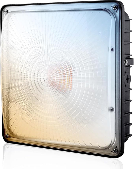 LED Canopy Light 100W, 40/60/80/100W Selectable, 5000K 15000Lumens Commercial Canopy LED Lights Outdoor, Gas Station Carport Light for Garage Shop Warehouse, IP65, DIM, 100-277VAC, ETL Listed
