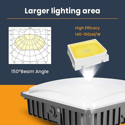 LED Canopy Light 100W, 40/60/80/100W Selectable, 5000K 15000Lumens Commercial Canopy LED Lights Outdoor, Gas Station Carport Light for Garage Shop Warehouse, IP65, DIM, 100-277VAC, ETL Listed