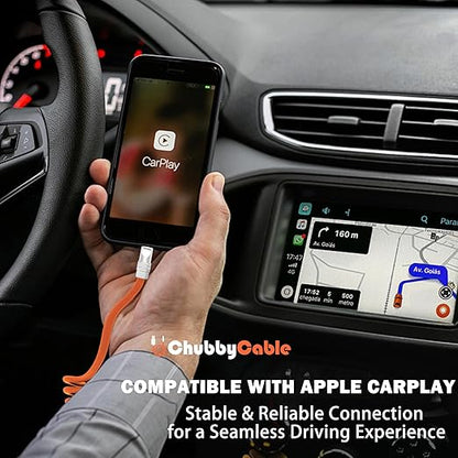 chubbycable Curly Chubby - Retractable Fast Charging Cable 240W Coiled Charger Cord for Car Durable USB-C Cable for Phones, Tablets and More, Purple+Purple, Type-C to Type-C, 1.3FT-2.3FT