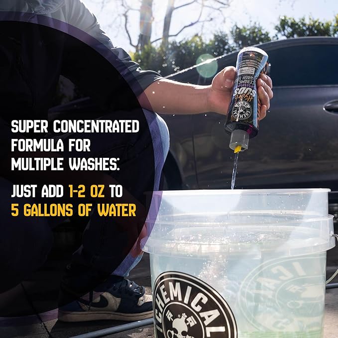Chemical Guys HydroSuds Ceramic SiO2 Shine High Foaming Car Wash Soap (Works with Foam Cannons, Foam Guns or Bucket Washes) for Cars, Trucks, Motorcycles, RVs & More, 32 fl oz, Berry Scent - CWS21232