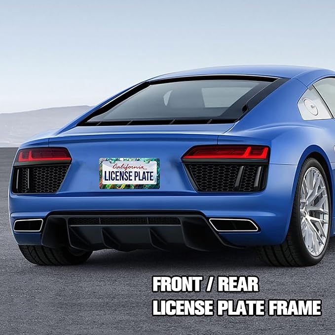 Personalized License Plate Frame Faux Abalone Stainless Steel Accessory Faux Shell License Plate Holder Funny Car Decorative 2 Holes Screws Fits Us Standard License Plates 12.2 X 6.3 in for Men Women