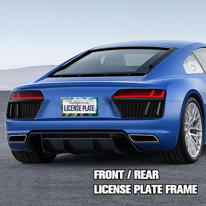 Personalized License Plate Frame Faux Abalone Stainless Steel Accessory Faux Shell License Plate Holder Funny Car Decorative 2 Holes Screws Fits Us Standard License Plates 12.2 X 6.3 in for Men Women